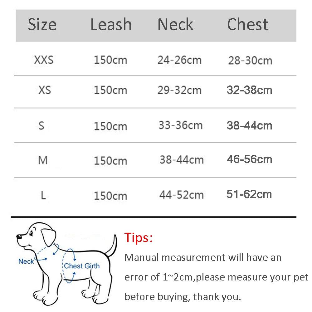 Leash Set to pet